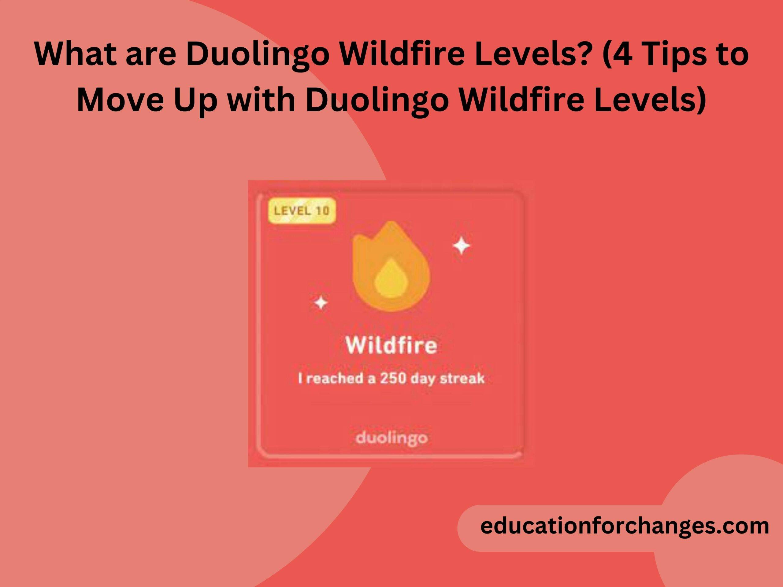 What are Duolingo Wildfire Levels (4 Tips to Move Up with Duolingo Wildfire Levels)